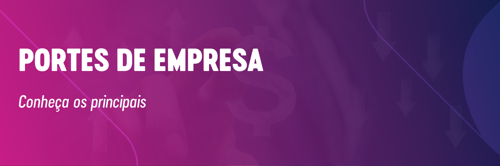 Quais são os portes de empresa?